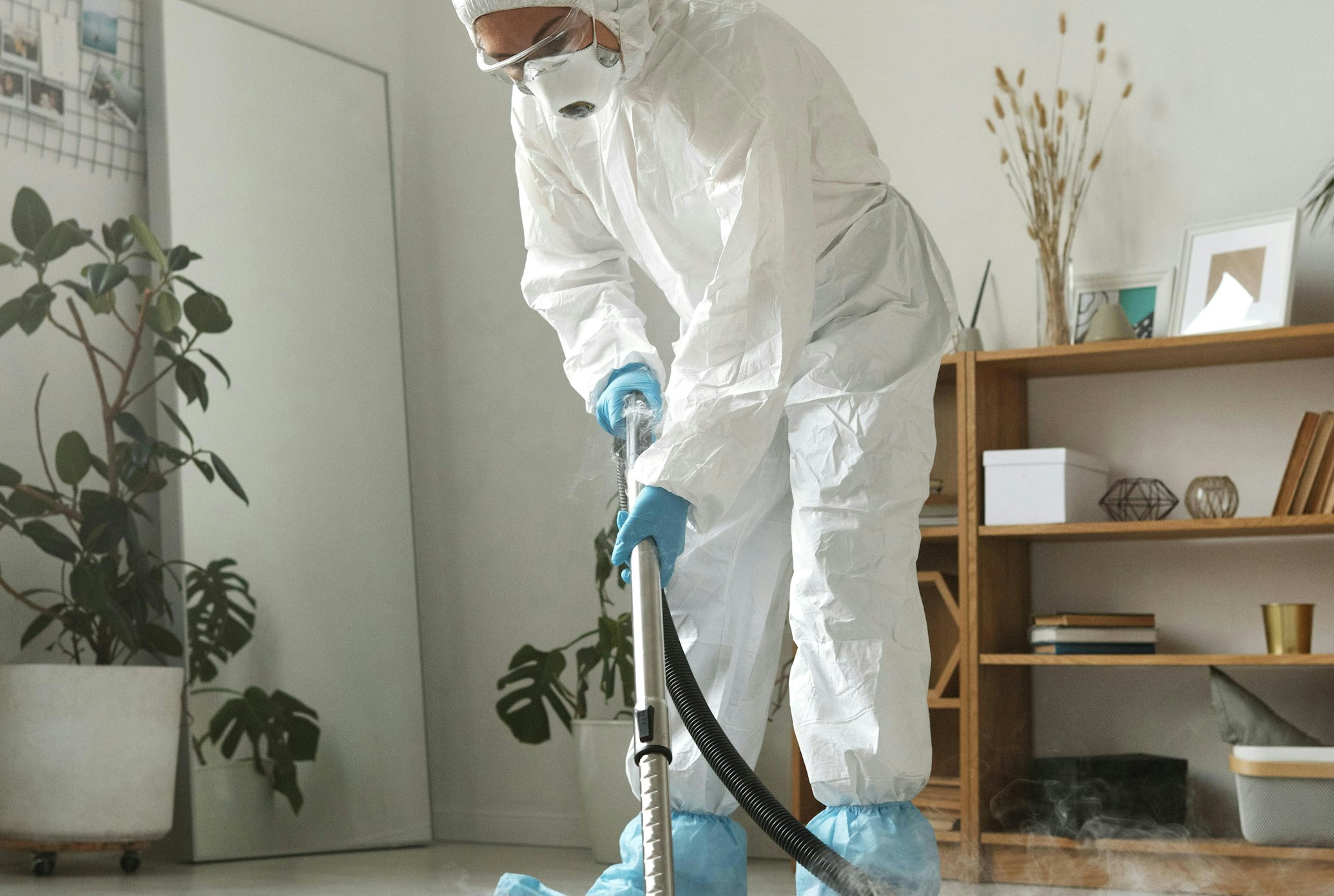 Mold Remediation Project